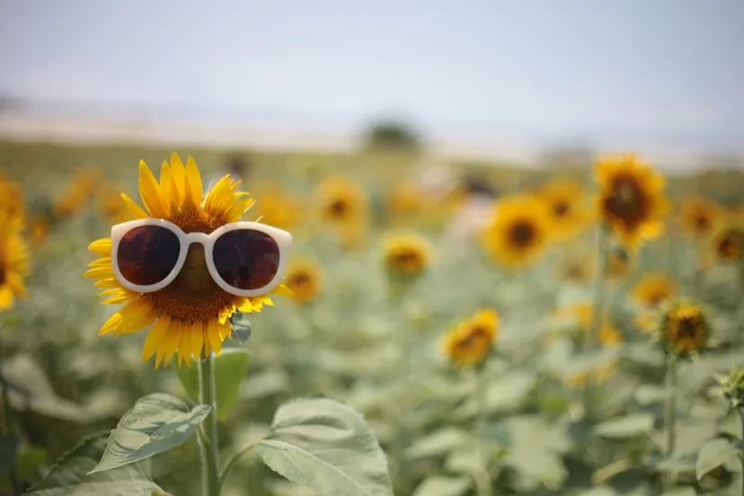 230625 mm zomer kees