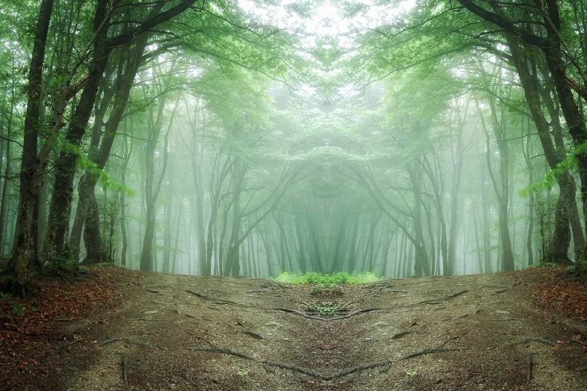 231022 mm drie jaargetijden joop