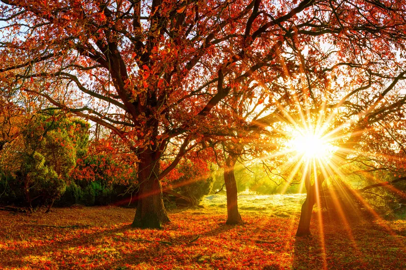 231119 mm geen thema kees