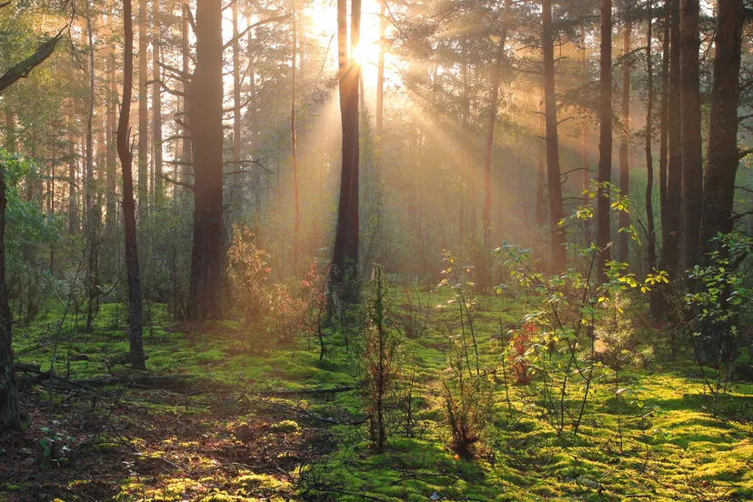 240328 film rr2 eeuwig zingen
