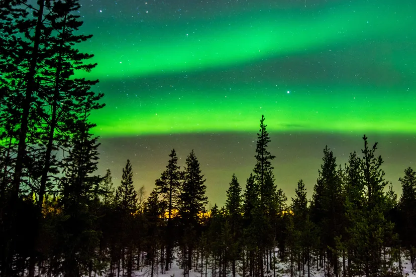 240428 mm muziekfenomenen