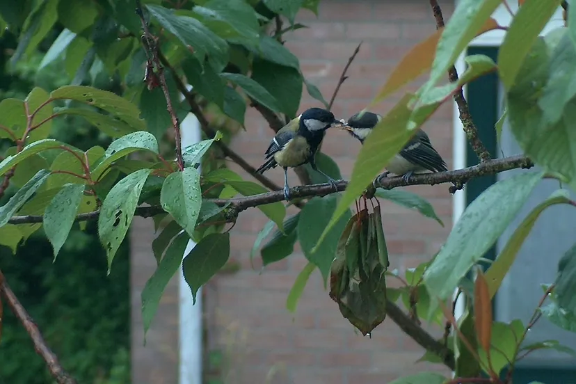 2c3c3048 04f8 4c73 984a 5b9a7f05e4b9