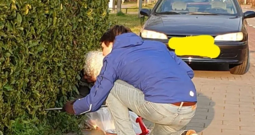 336652652 1344356676355828 5001270874733901874 n