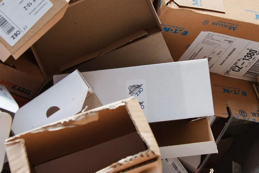 347401307 778334623844959 3652582444416177038 n