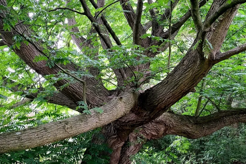 367729138 681418587357495 16046474014793040 n