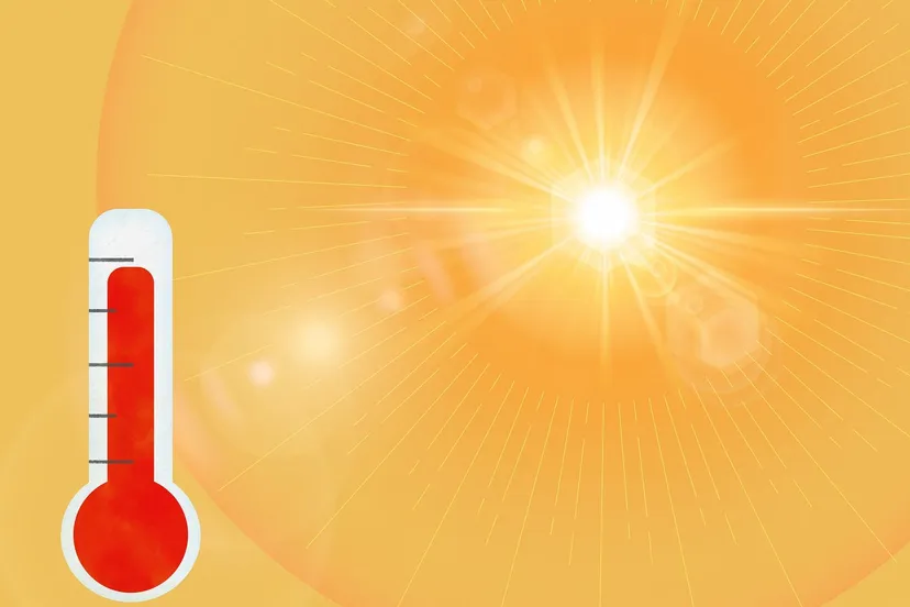 367733362 681957857303568 4147612702578977853 n