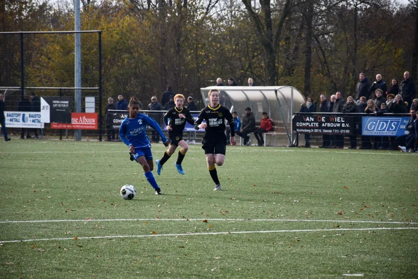 3f6558d6 2076 479d 96b7 423a2b999ec2