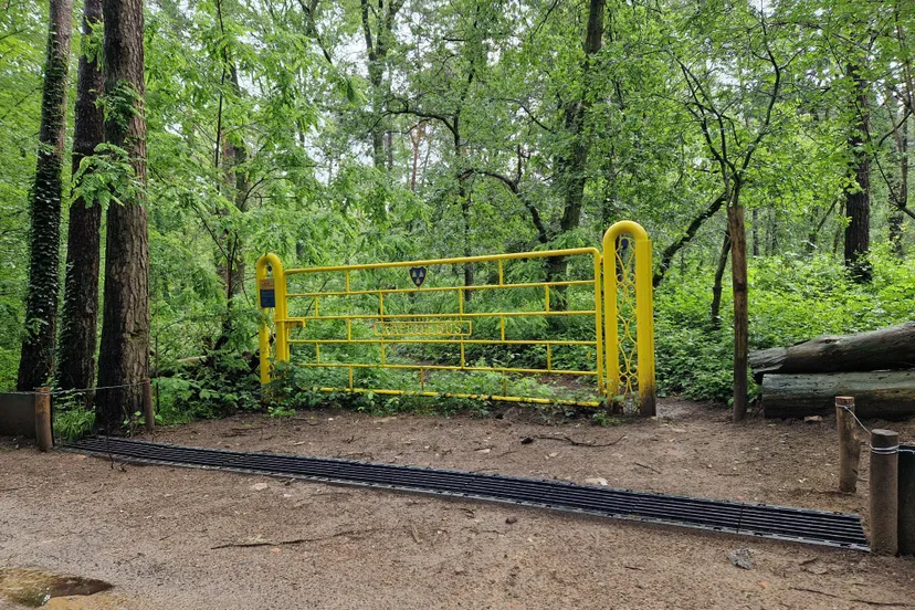 449433999 878108147688537 4342900917042691138 n