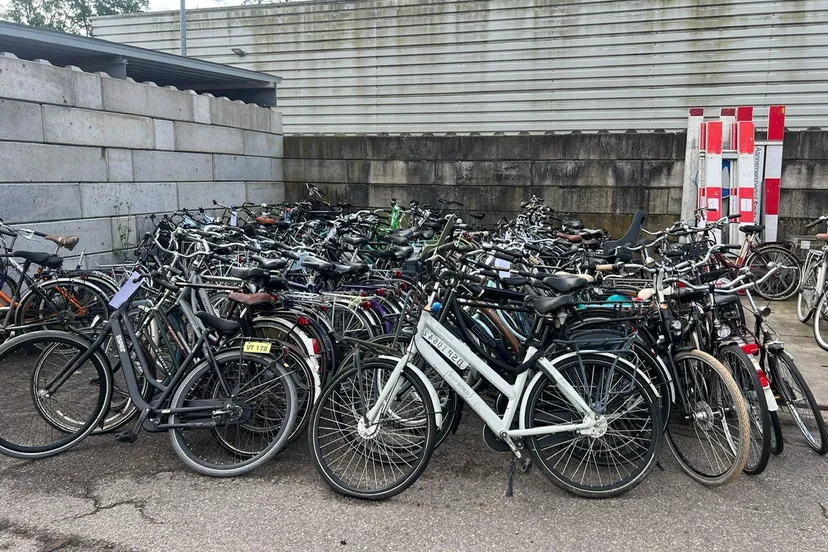 450507176 886033053562713 5728022306635613718 n