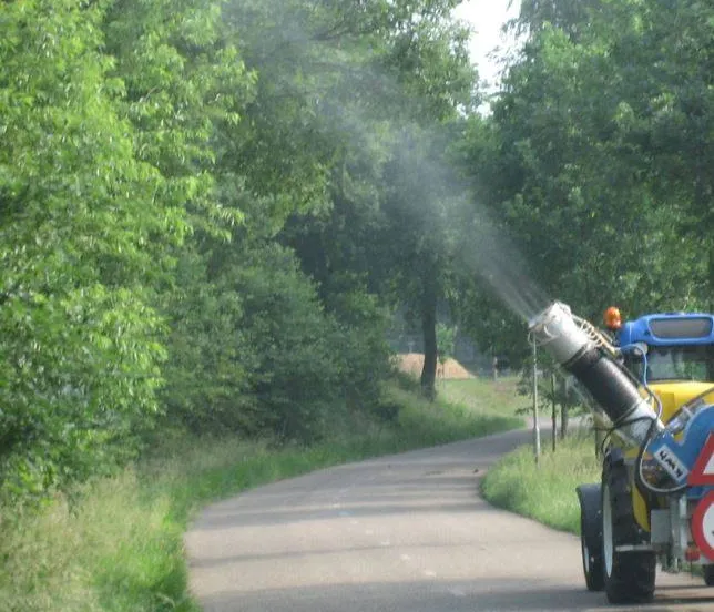 58374841 2448064188579740 9118406442049601536 n