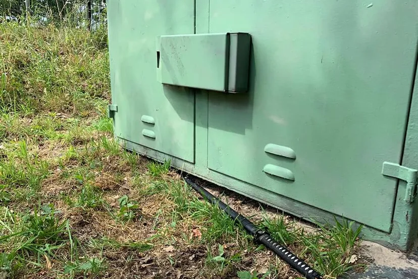 64447293 1729939547150127 5091613236109770752 n