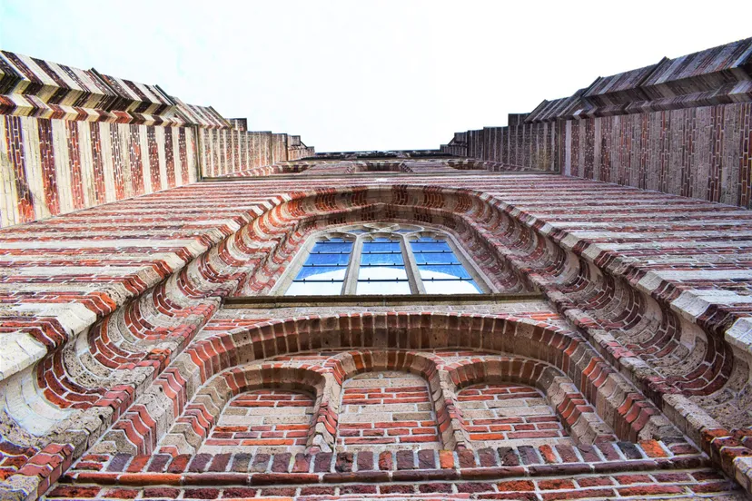 94144468 3220728577979960 8785344424168128512 o