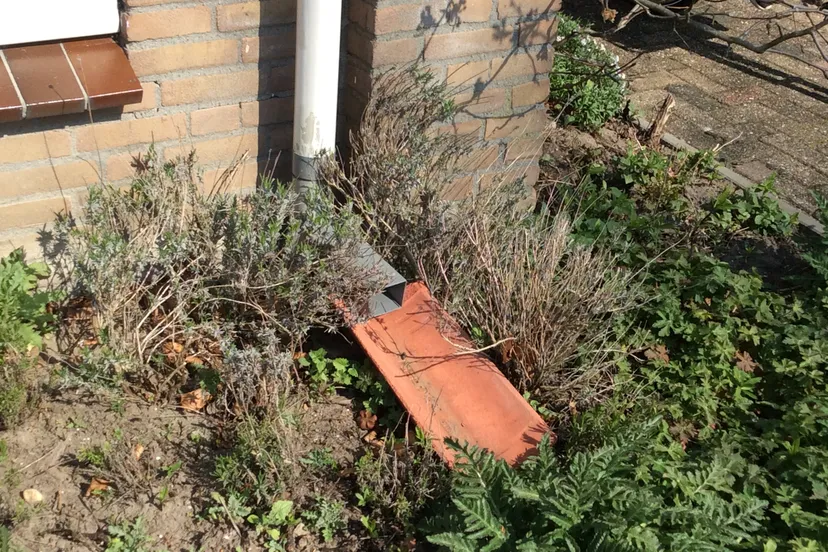 afgekoppelde regenpijp met dakpan foto ankie