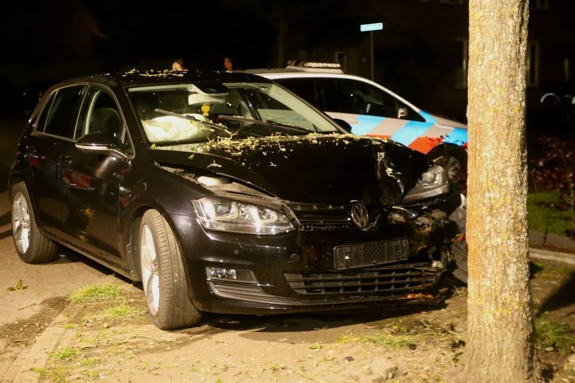 auo tegen boom esch 2