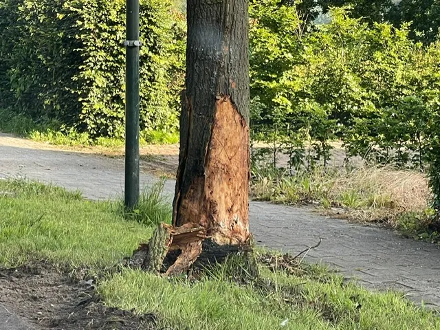 b5683caa 8dad 4de6 888c a877fbe204db