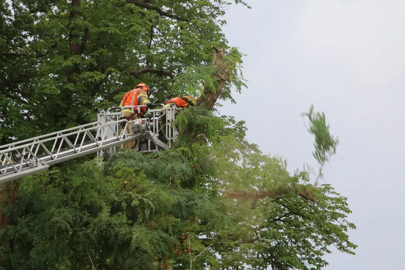 bart meesters 20200616153612 1