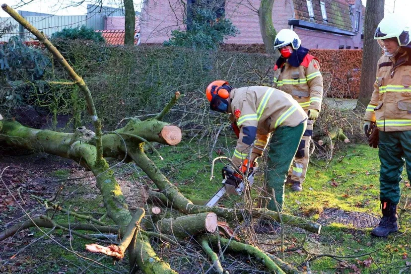 boom over de weg de dijk helvoirt 3