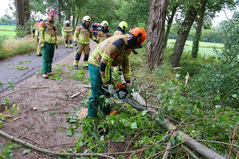boom over de weg esscebaan 4