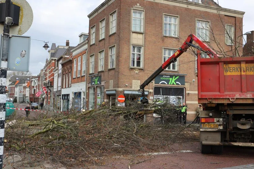 boom valt op vrouw en kind den bosch 5