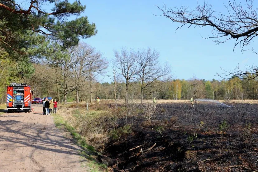 bosbrand vughtse heide vught 1
