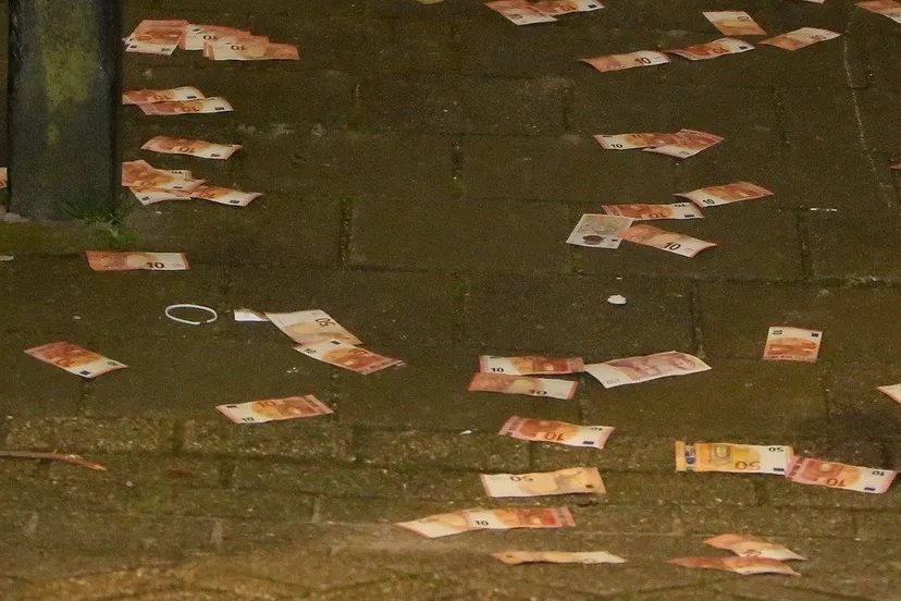 brand flat den bosch 7