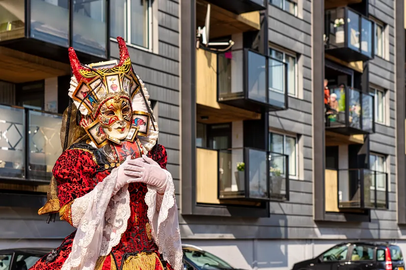 cello stephworx 0032