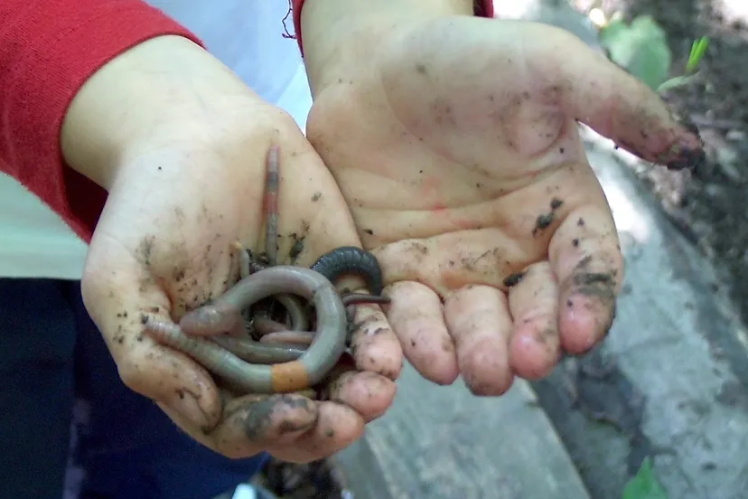 cid 3ae38081 f167 4c6d a3f6 7dd71d9cc73e