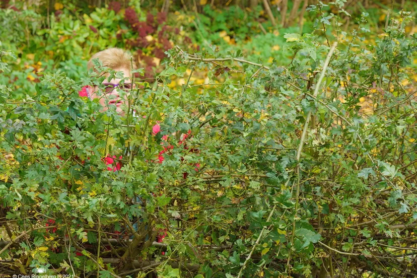 cr natuurwerkdag 013