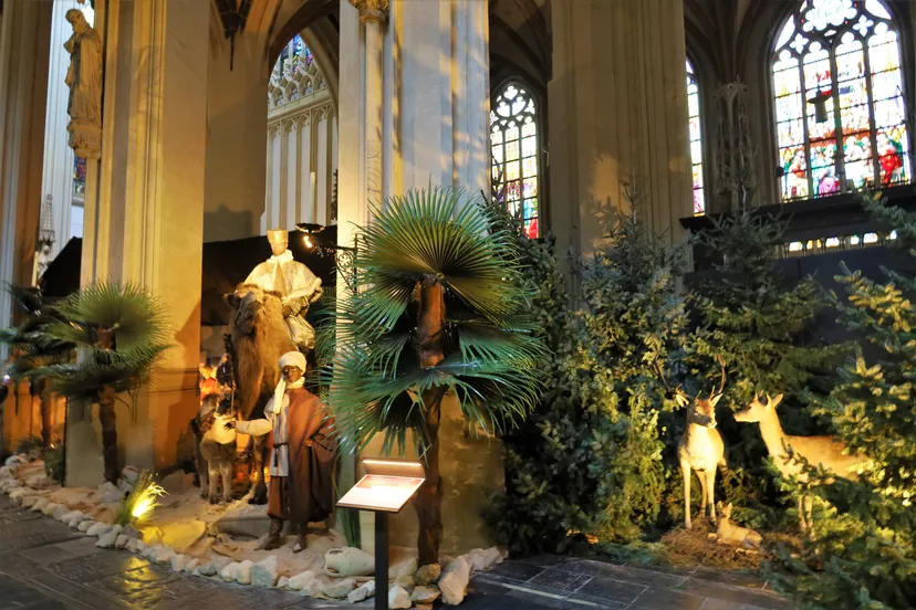 db 5 dec kerststal 115