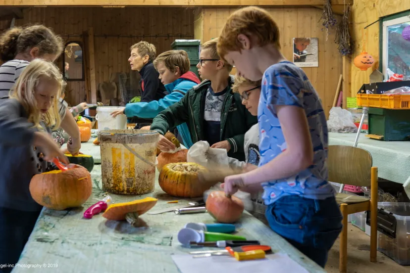 de scheve schup 0005