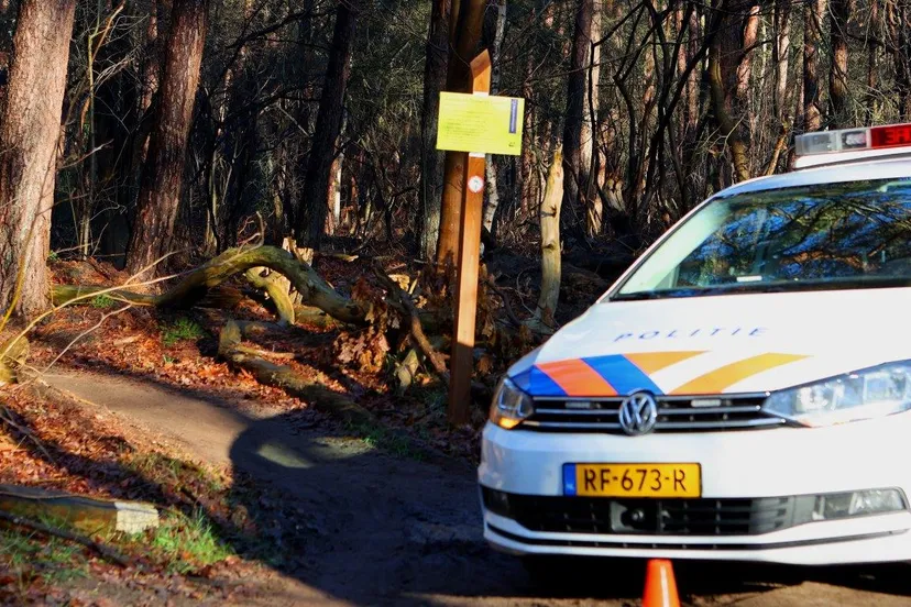 dode in bossen helvoirt 2