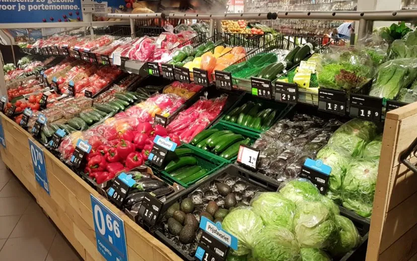 e7d80345 5eab 4eb5 8cd1 6b22ed08950b 915x518 1