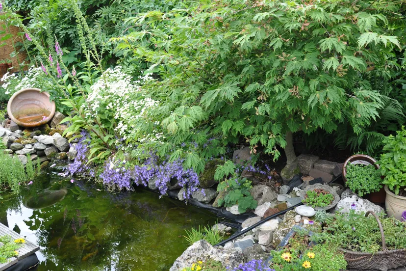 foto bij persbericht 2