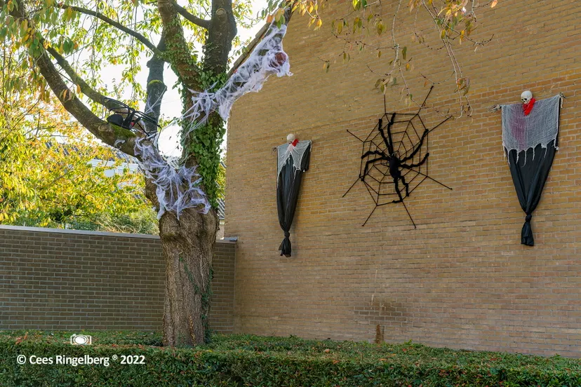 griezelen hageland 006