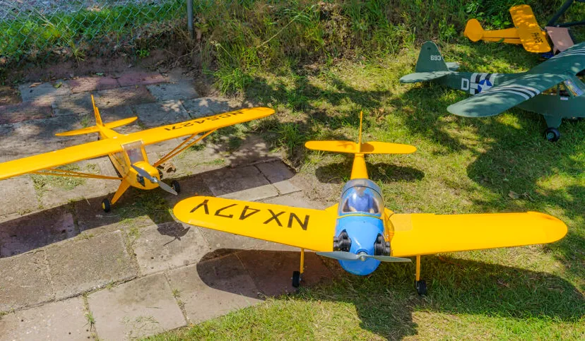 hawks 025 1024x483 1