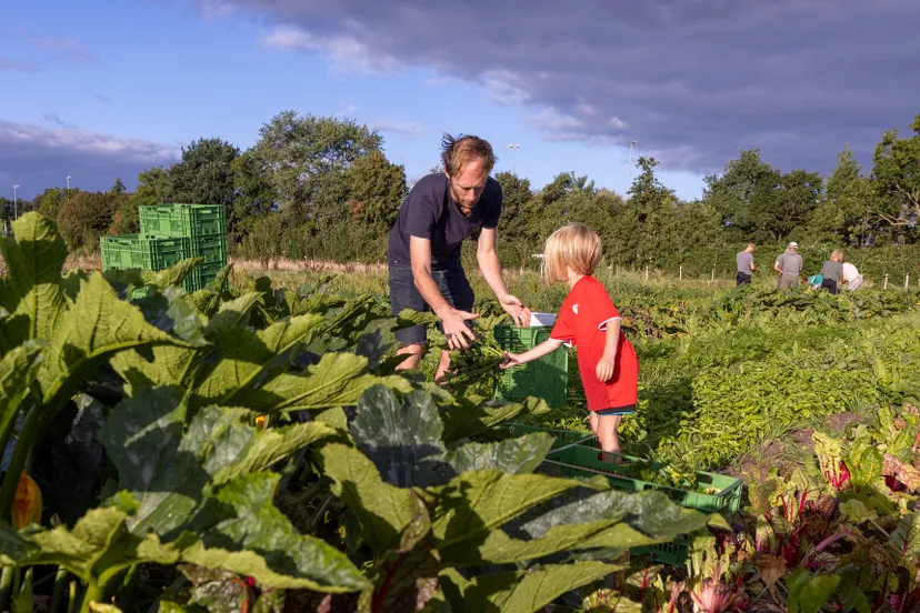 herenboeren mark van stokkom 2