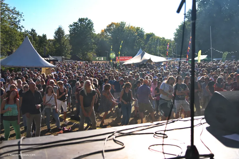 hoge bomen festival 0019