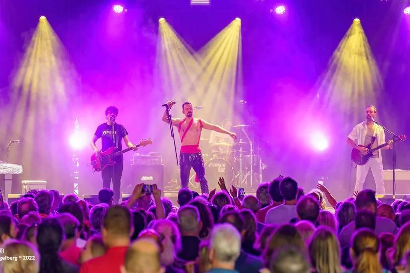 hoge bomen queen by the vipers it 050