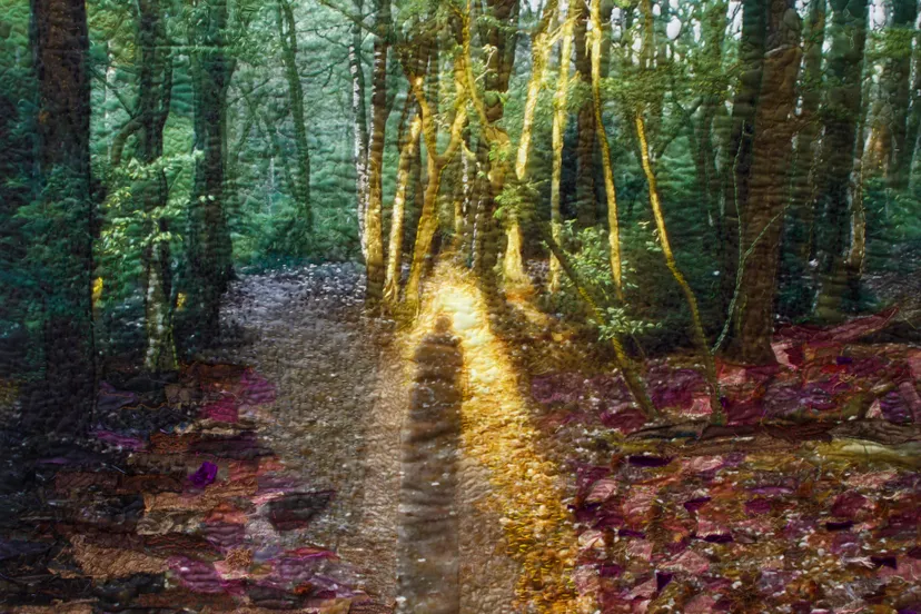 hvdbeek in het licht gezet