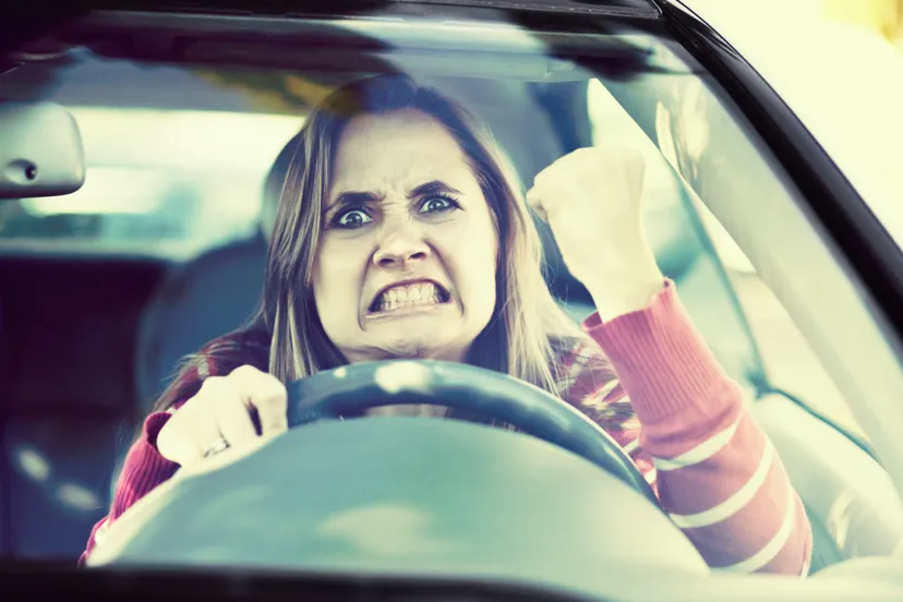 irritatie en agressie in het verkeer scaled