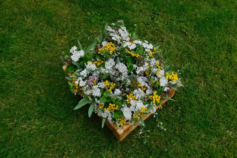 kruidenwijding 1 scaled