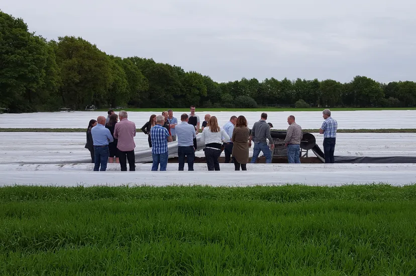 persfoto asperges in het veld gaat niet door