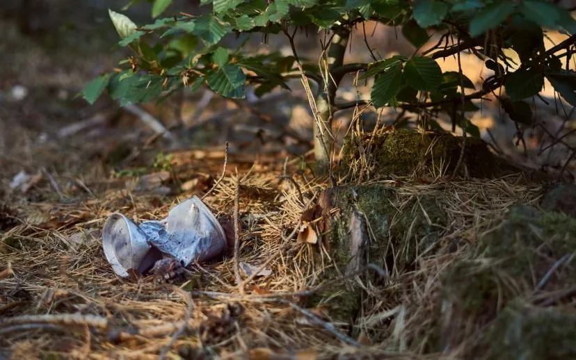 pollution 3714969 1280 915x518 1 915x518 1