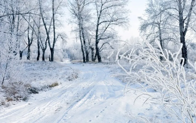 snow 83036 960 720 915x518