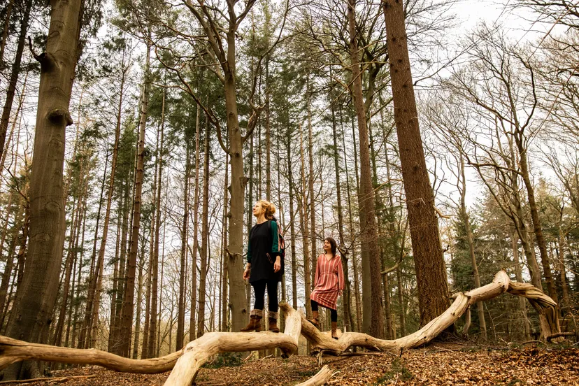 sophie de rijk hilke bressers credit willemijn van harskamp