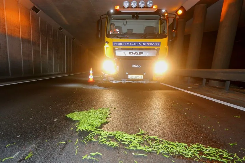 sperziebonen op weg a65 vught 2
