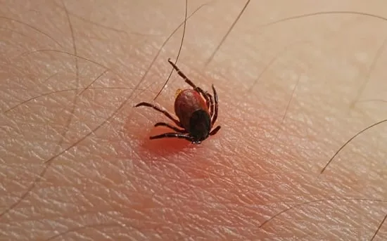 tekenbeet20h20van20den20kerkhof