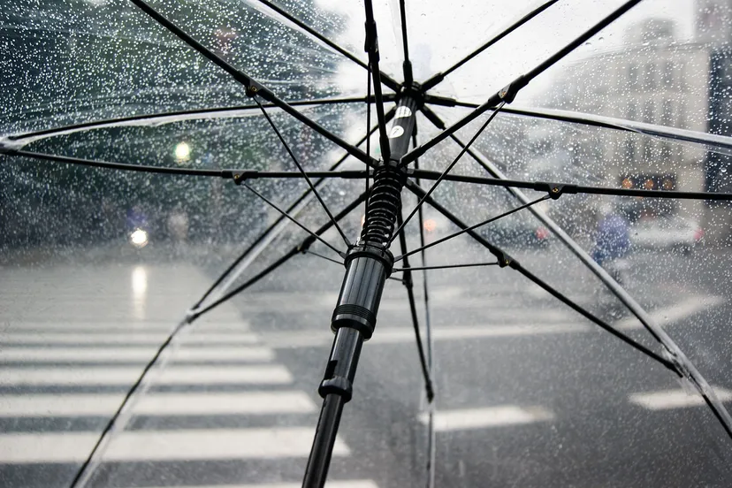 umbrella 4425160 1280