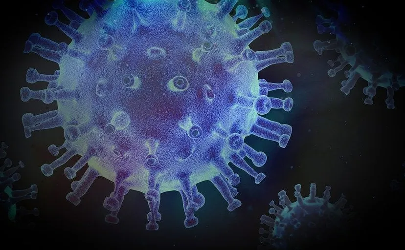 virus 4937609 960 720