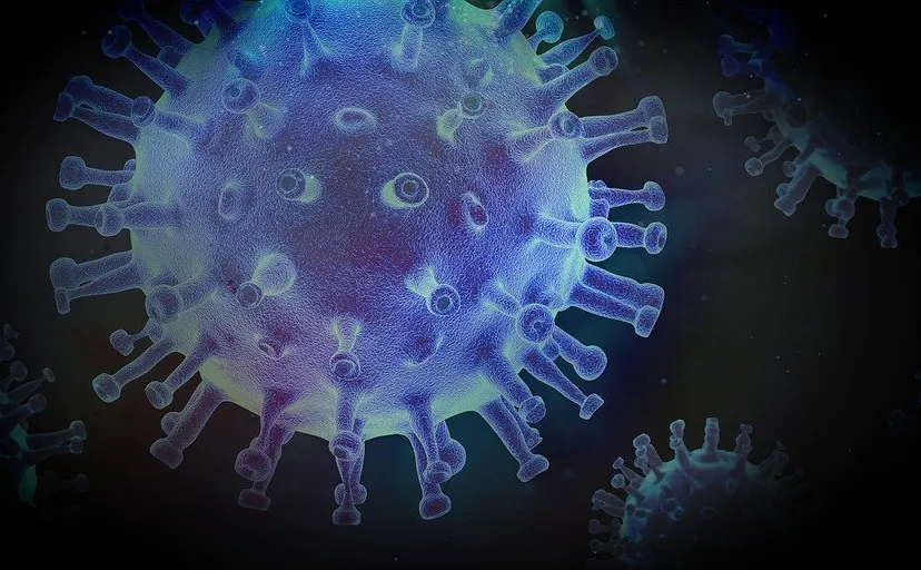 virus 4937609 960 720